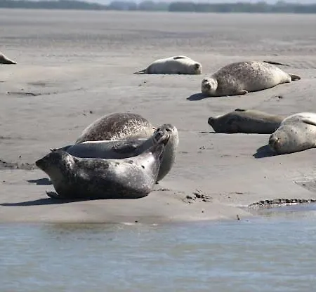 Le Grain De Sable Appartement